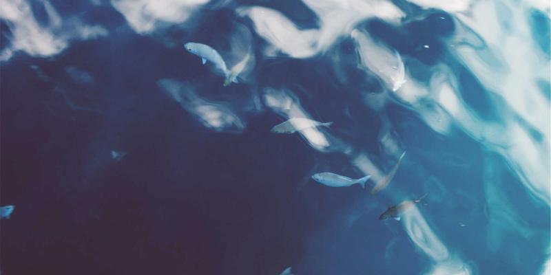 光学级塑料的突破：康普兰山东如何以先进复合材料重塑高端医疗影像设备透明视窗