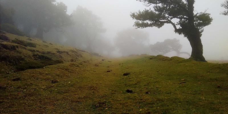 山东康普兰定制工程塑料部件：如何通过复合材料技术提升食品加工设备卫生等级