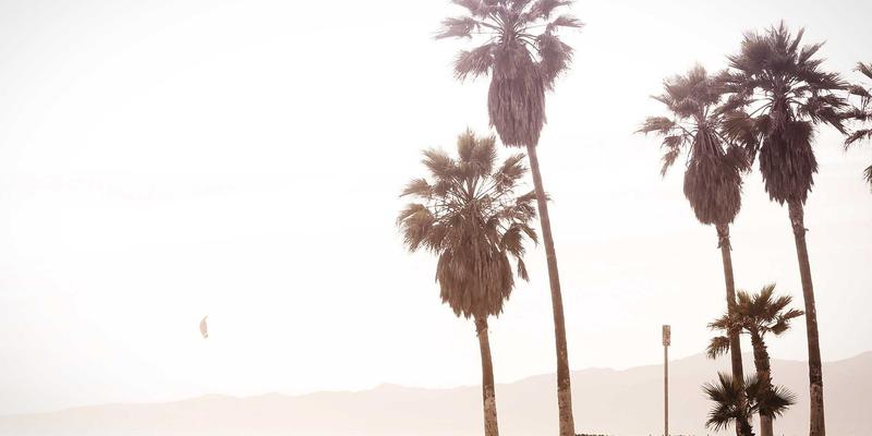 康普兰山东29：深耕工业塑料定制，铸就山东制造新标杆