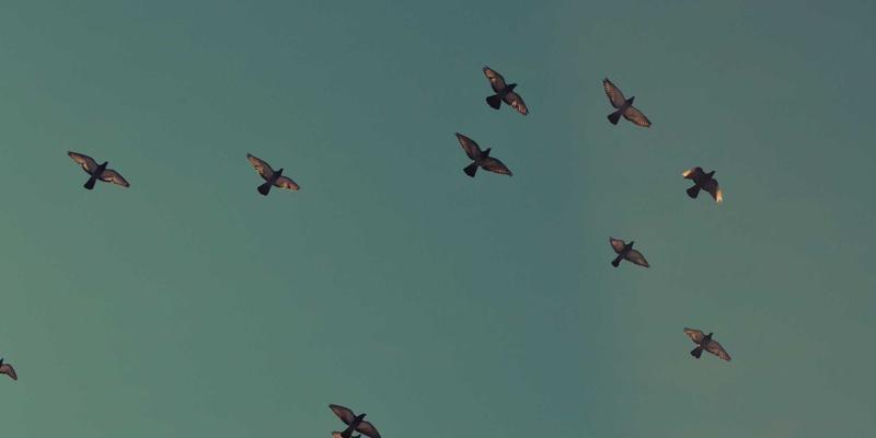 康普兰山东：以定制塑料部件引领轨道交通车辆内饰轻量化变革