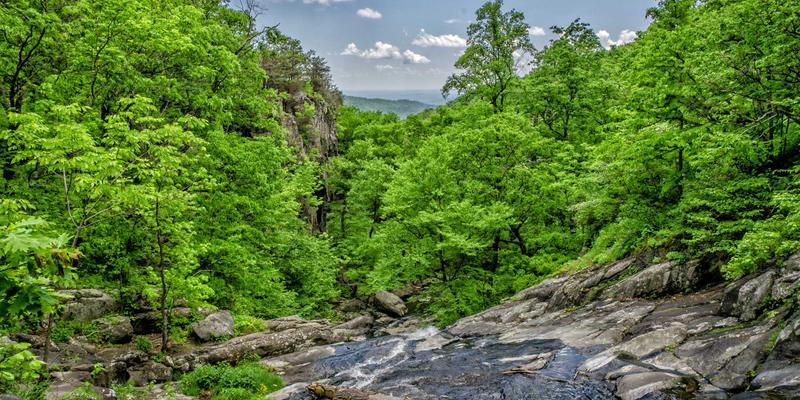 康普兰山东：以定制塑料齿轮与轴承，重塑精密仪器传动效率新标杆