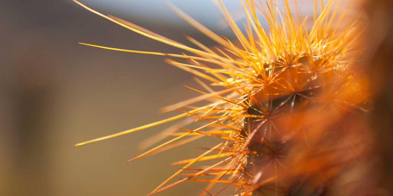 康普兰山东：以高性能工业塑料部件，重塑医疗设备制造的可靠性与创新边界