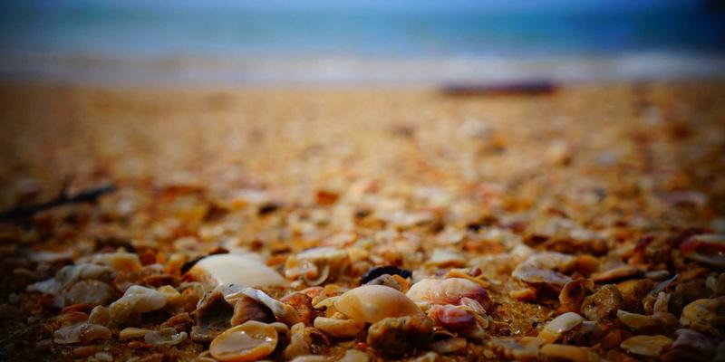 轨道交通减重降噪新突破：康普兰山东的复合材料与定制塑料部件解决方案